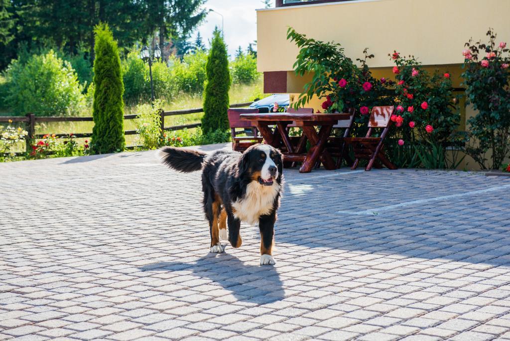 Pensiunea Orizont 4*